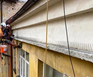 Instalace hrot� proti holub�m